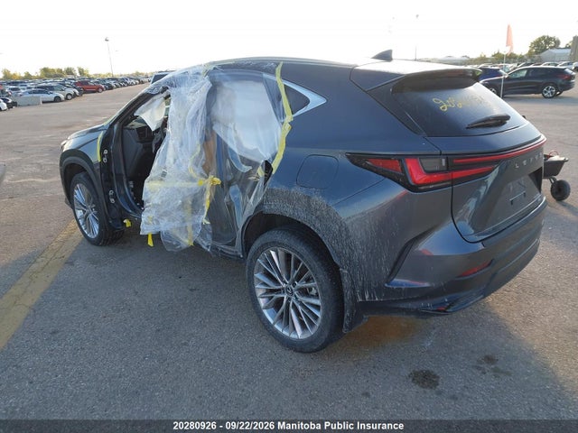 Продаж на аукціоні авто 2024 Lexus Nx350, vin: 2T2GGCEZ2RC057284, номер лоту: 20280926