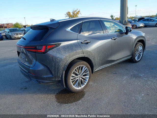Продаж на аукціоні авто 2024 Lexus Nx350, vin: 2T2GGCEZ2RC057284, номер лоту: 20280926