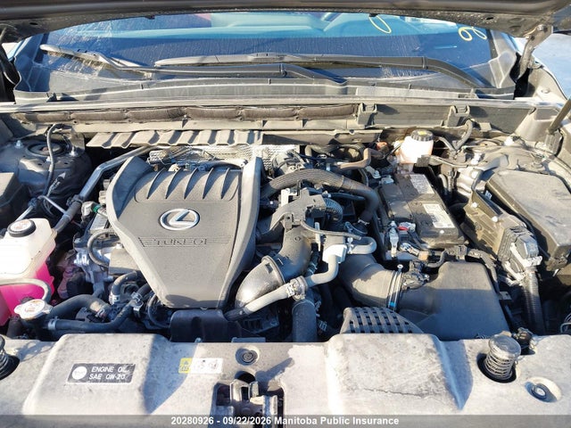 Продаж на аукціоні авто 2024 Lexus Nx350, vin: 2T2GGCEZ2RC057284, номер лоту: 20280926