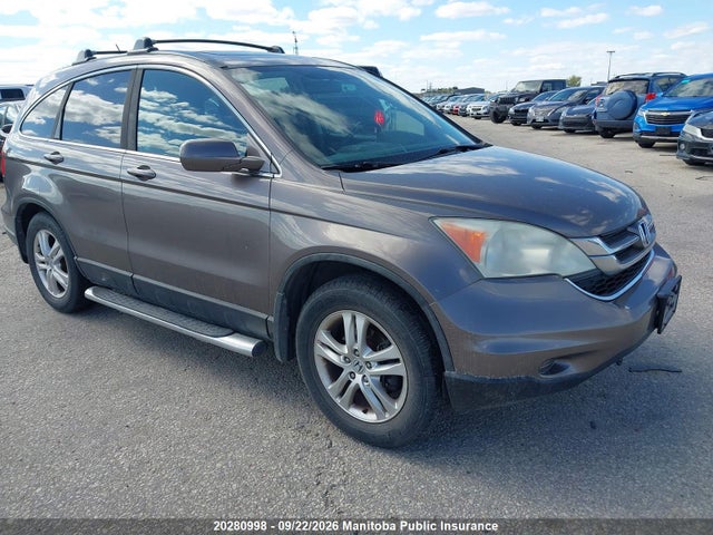 Auction sale of the 2010 Honda Cr-v Ex, vin: 5J6RE4H50AL815924, lot number: 20280998