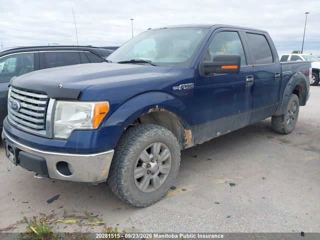 Продаж на аукціоні авто 2010 Ford F150 Xlt Supercrew, vin: 1FTFW1EV6AFA53822, номер лоту: 20281515