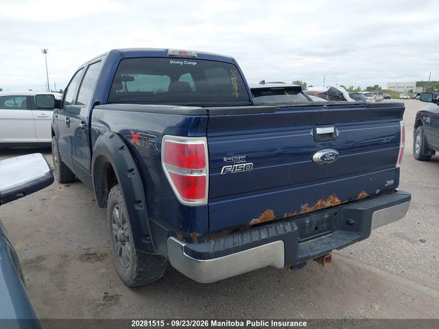 Продаж на аукціоні авто 2010 Ford F150 Xlt Supercrew, vin: 1FTFW1EV6AFA53822, номер лоту: 20281515
