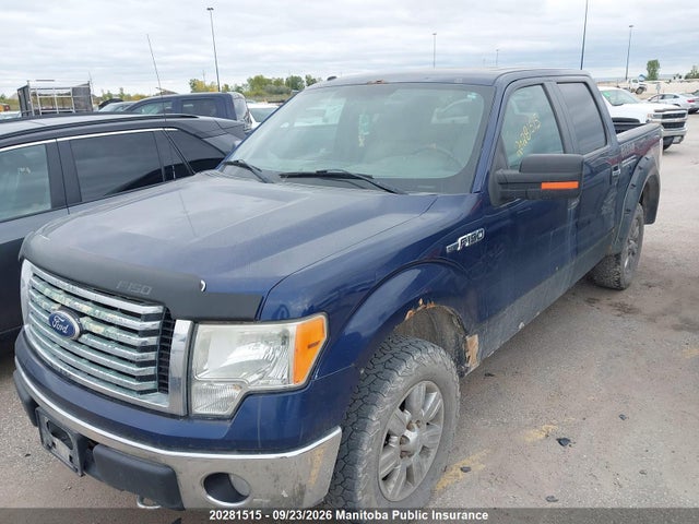 Продаж на аукціоні авто 2010 Ford F150 Xlt Supercrew, vin: 1FTFW1EV6AFA53822, номер лоту: 20281515