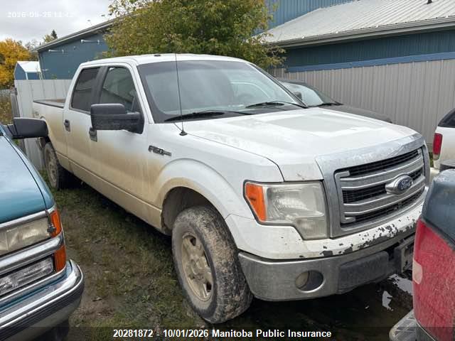 Aukcja sprzedaży 2014 Ford F150 Xlt Supercrew, vin: 1FTFW1EF8EFC35990, numer aukcji: 20281872