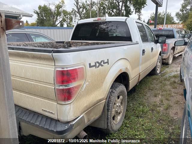 Продажа на аукционе авто 2014 Ford F150 Xlt Supercrew, vin: 1FTFW1EF8EFC35990, номер лота: 20281872