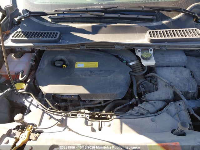 Ford ESCAPE SE 2014 1FMCU0GX3EUC88063 Image 10