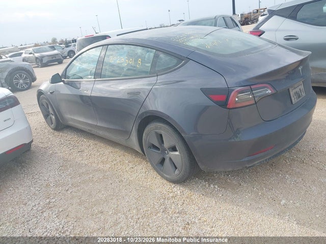 2023 Tesla Model 3 Standard Range Plus 50 მანქანა იყიდება აუქციონზე, vin: LRW3E1FA6PC920970, აუქციონის ნომერი: 20283018