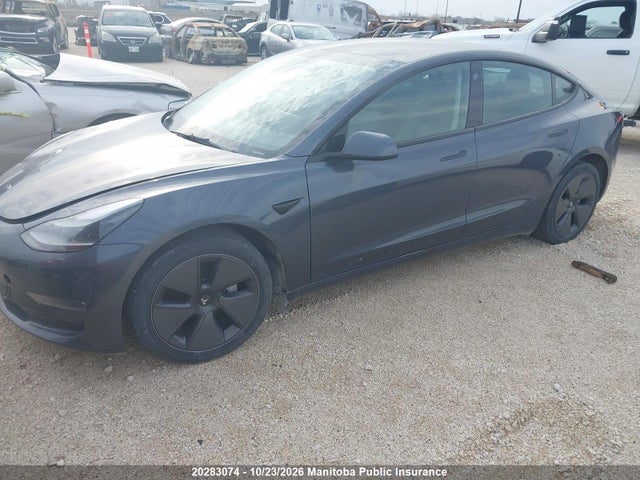 Auction sale of the 2023 Tesla Model 3 Long Range 75d, vin: 5YJ3E1EB2PF465499, lot number: 20283074