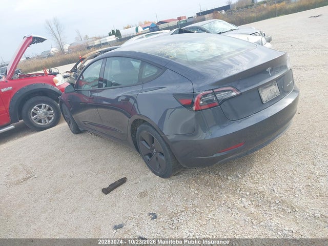 Auction sale of the 2023 Tesla Model 3 Long Range 75d, vin: 5YJ3E1EB2PF465499, lot number: 20283074