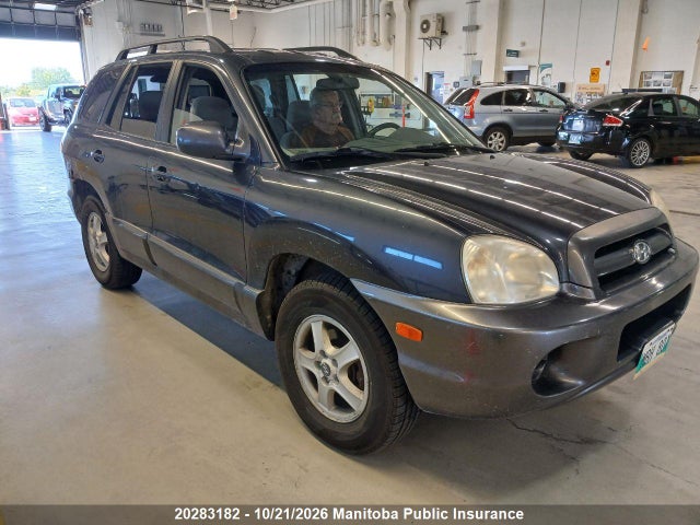 20283182 :رقم المزاد ، KM8SB13D46U043972 vin ، 2006 Hyundai Santa Fe Gl مزاد بيع