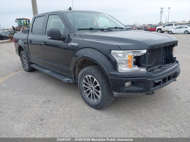 2019 1FTEW1EP4KFB69034 главное изображение