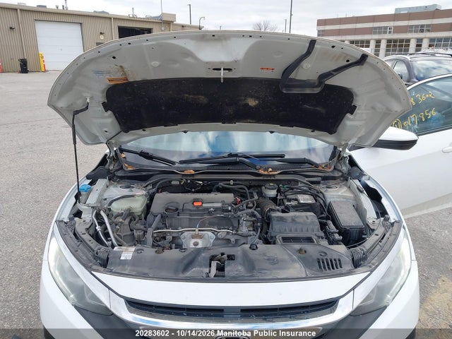 2HGFC2F51JH017856 Honda Civic Lx