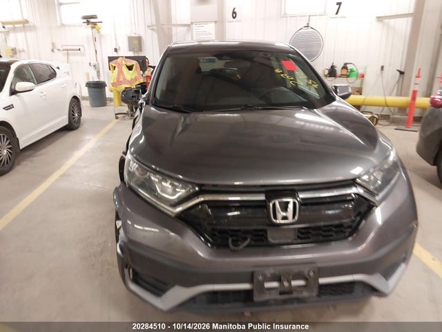 Honda CR-V LX 2020 2HKRW1H24LH000088 Image 12