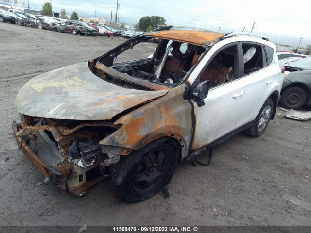 2T3BFREV2FW265362 Toyota RAV4