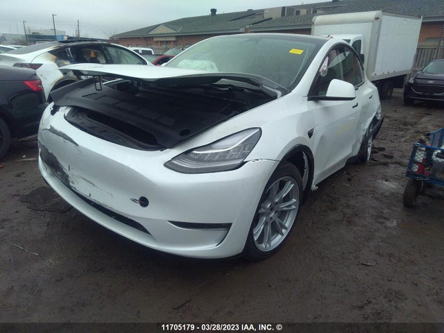 Tesla Model Y 2023 7SAYGDEE8PF583281 Image 2