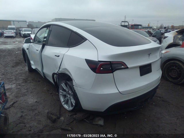 Tesla Model Y 2023 7SAYGDEE8PF583281 Image 3
