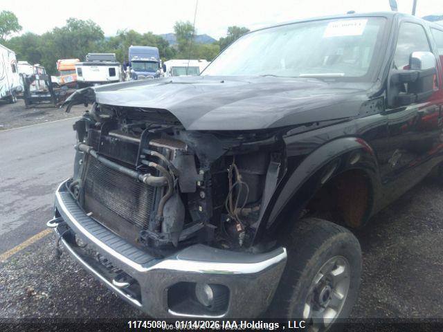 11745080 :رقم المزاد ، 1FT8W3BT0FEA60978 vin ، 2015 Ford F350 Super Duty مزاد بيع