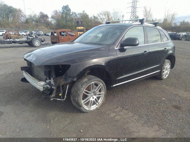 WA1LFCFP3EA062246 Audi Q5
