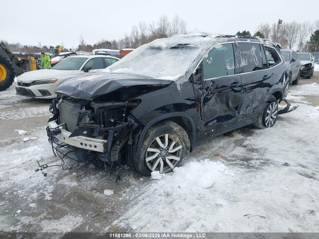 5FNYF6H7XMB506643 Honda Pilot