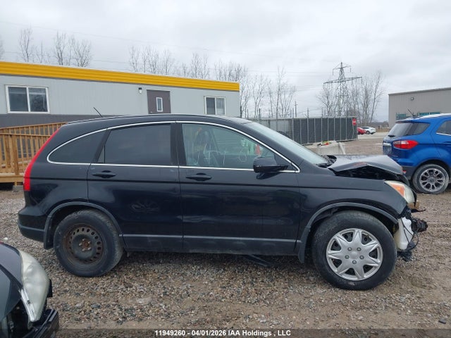 Продаж на аукціоні авто 2008 Honda Cr-v, vin: 5J6RE48738L814620, номер лоту: 11949260
