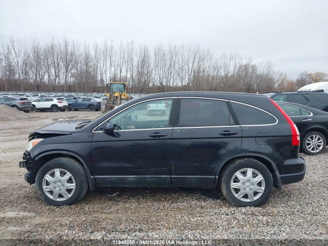 Продаж на аукціоні авто 2008 Honda Cr-v, vin: 5J6RE48738L814620, номер лоту: 11949260