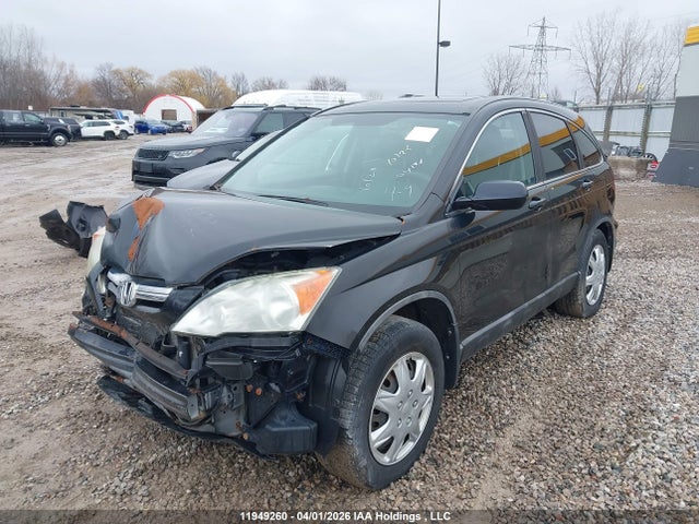 Продаж на аукціоні авто 2008 Honda Cr-v, vin: 5J6RE48738L814620, номер лоту: 11949260