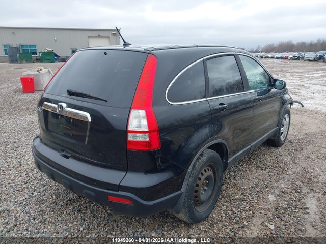 Продаж на аукціоні авто 2008 Honda Cr-v, vin: 5J6RE48738L814620, номер лоту: 11949260