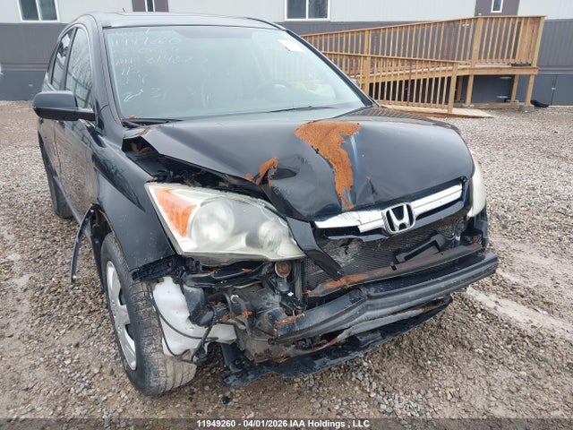 Продаж на аукціоні авто 2008 Honda Cr-v, vin: 5J6RE48738L814620, номер лоту: 11949260
