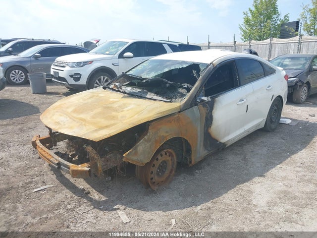 5NPE24AFXHH538505 Hyundai Sonata