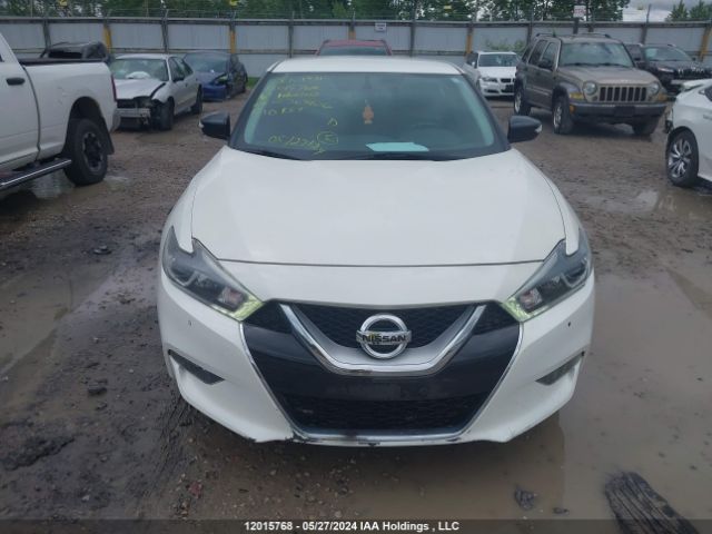 1N4AA6AP2GC383406 Nissan Maxima