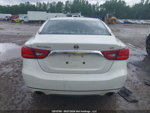 1N4AA6AP2GC383406 Nissan Maxima