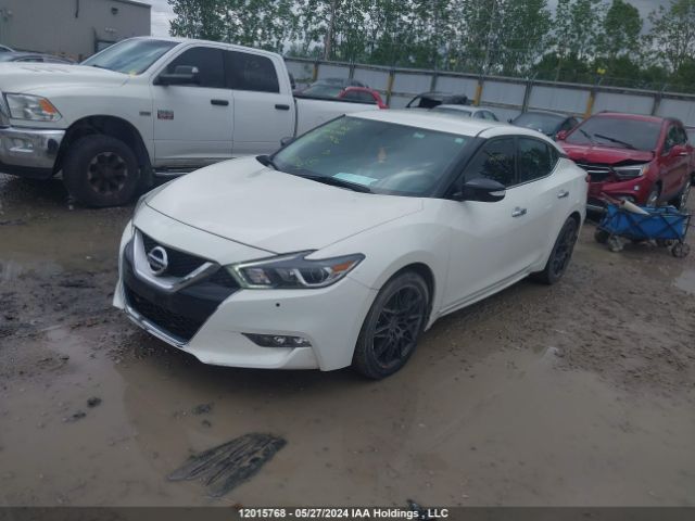 1N4AA6AP2GC383406 Nissan Maxima