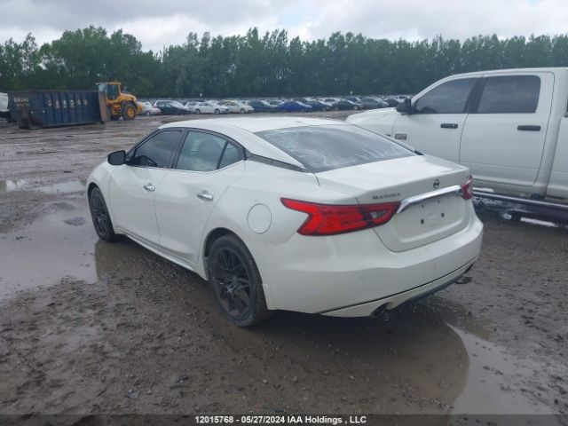 1N4AA6AP2GC383406 Nissan Maxima