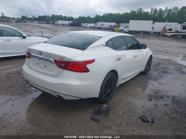 1N4AA6AP2GC383406 Nissan Maxima