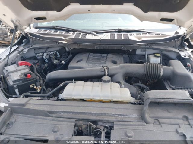 1FTFW1E8XNKF19758 Ford F-150 Xlt