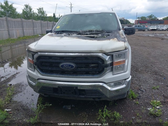 Ford hev 2022 1FTFW1ED4NFB64527 Image 12