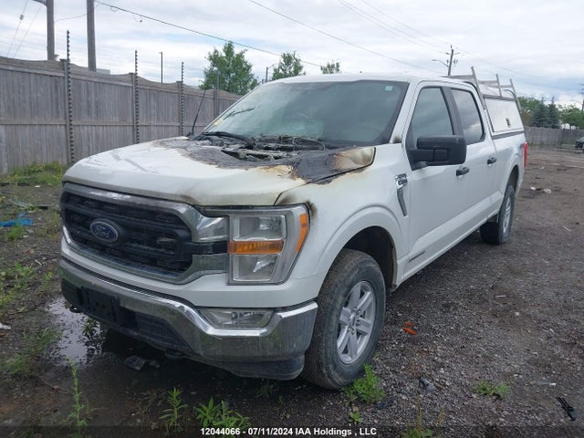 Ford hev 2022 1FTFW1ED4NFB64527 Image 2