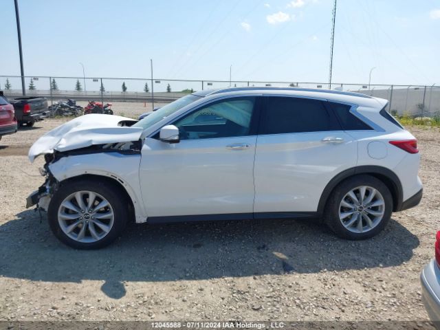 3PCAJ5M31KF111132 Infiniti QX50