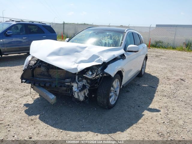 3PCAJ5M31KF111132 Infiniti QX50