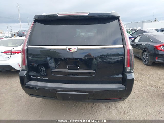Auction sale of the 2019 Cadillac Escalade Platinum, vin: 1GYS4DKJ7KR246191, lot number: 12065507