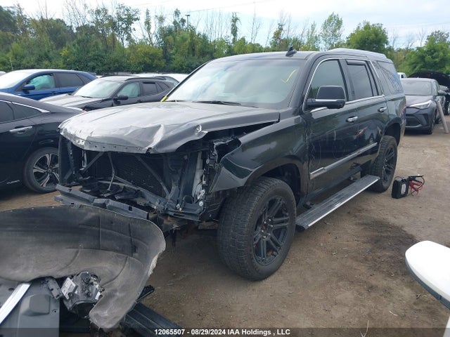 Auction sale of the 2019 Cadillac Escalade Platinum, vin: 1GYS4DKJ7KR246191, lot number: 12065507