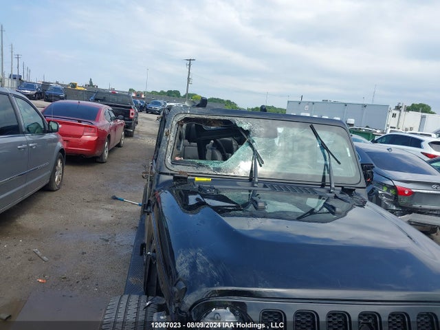 Auction sale of the 2021 Jeep Wrangler Unlimited Sahara, vin: 1C4HJXEG4MW866494, lot number: 12067023