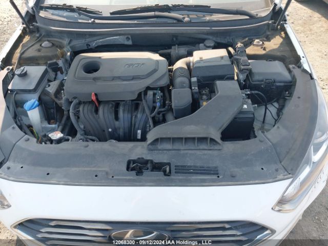 5NPE34AF5KH762947 Hyundai Sonata Limited/sel/sport