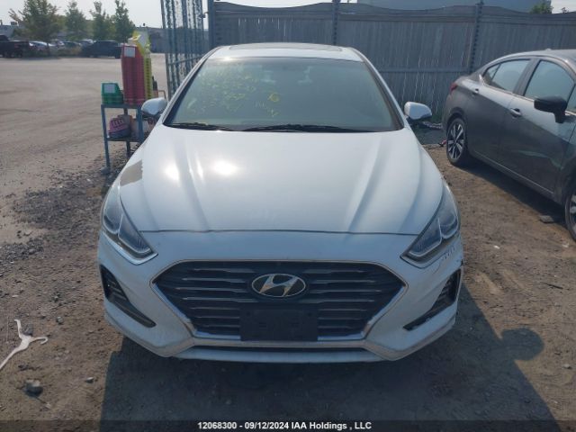 5NPE34AF5KH762947 Hyundai Sonata Limited/sel/sport