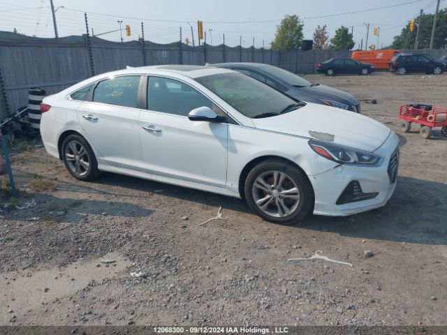 5NPE34AF5KH762947 Hyundai Sonata Limited/sel/sport