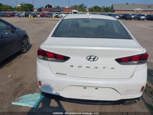 5NPE34AF5KH762947 Hyundai Sonata Limited/sel/sport