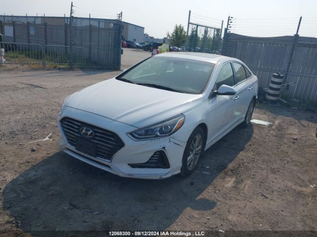 5NPE34AF5KH762947 Hyundai Sonata Limited/sel/sport