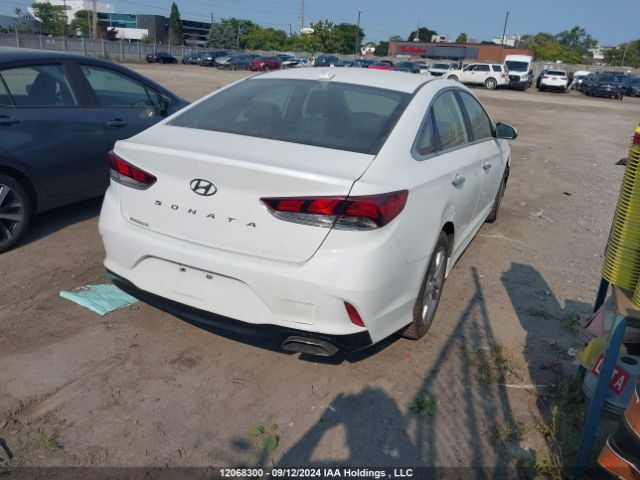 5NPE34AF5KH762947 Hyundai Sonata Limited/sel/sport
