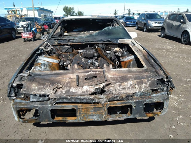 12079260 :رقم المزاد ، 1G1AP87H9DL100301 vin ، 1983 Chevrolet Camaro مزاد بيع
