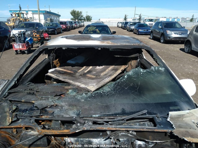 12079260 :رقم المزاد ، 1G1AP87H9DL100301 vin ، 1983 Chevrolet Camaro مزاد بيع